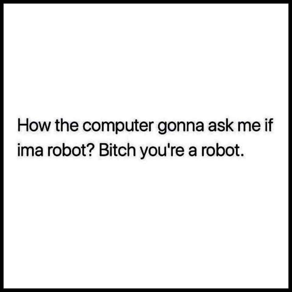 This meme is a humorous example of a conversation between a human and a computer. The text "How the computer gonna ask me if I'm a robot? Bitch you're a robot" is a sarcastic response to a hypothetical scenario where a computer asks a person if they are a robot. The meme is poking fun at the idea that a computer would ask a person if they are a robot, and the person's response is a tongue-in-cheek insult.